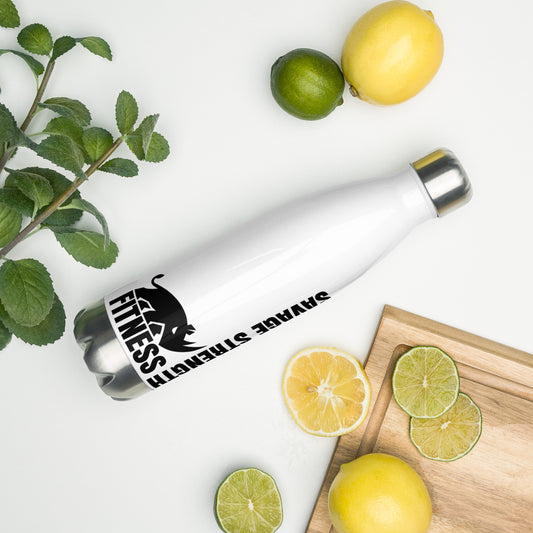 Stainless Steel Water Bottle